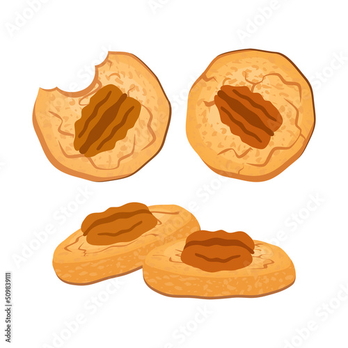 Sweet pecan sandies cookies icon set vector. Sweet cookies with pecans nuts icon vector. Pecan Sandy cookie icons isolated on a white background