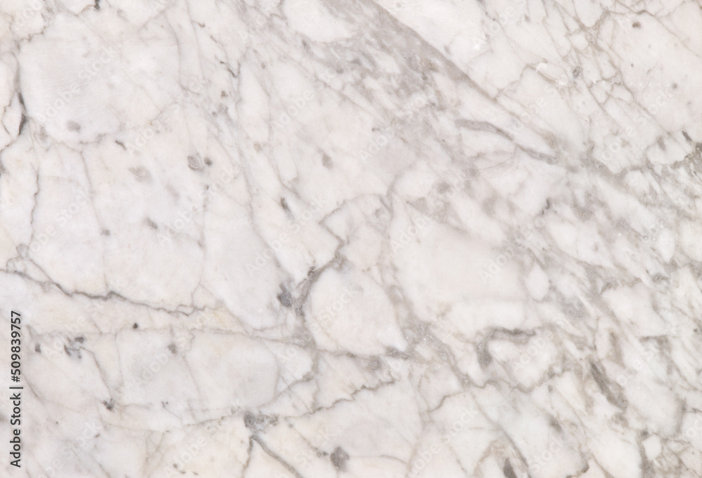 white marble texture stone