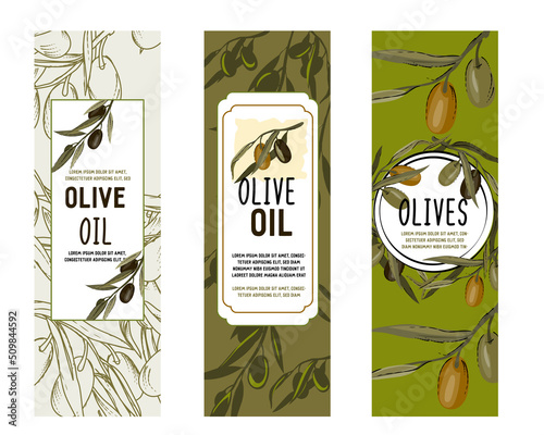 Olive Oil vector labels or badges set, hand dawn illustration. Collection of banners for olives and cooking oil packaging, cosmetics.