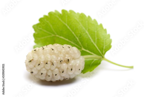 Fresh white mulberry fruit with leaves isolated on white  