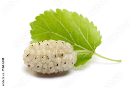 Obraz na płótnie Fresh white mulberry fruit with leaves isolated on white