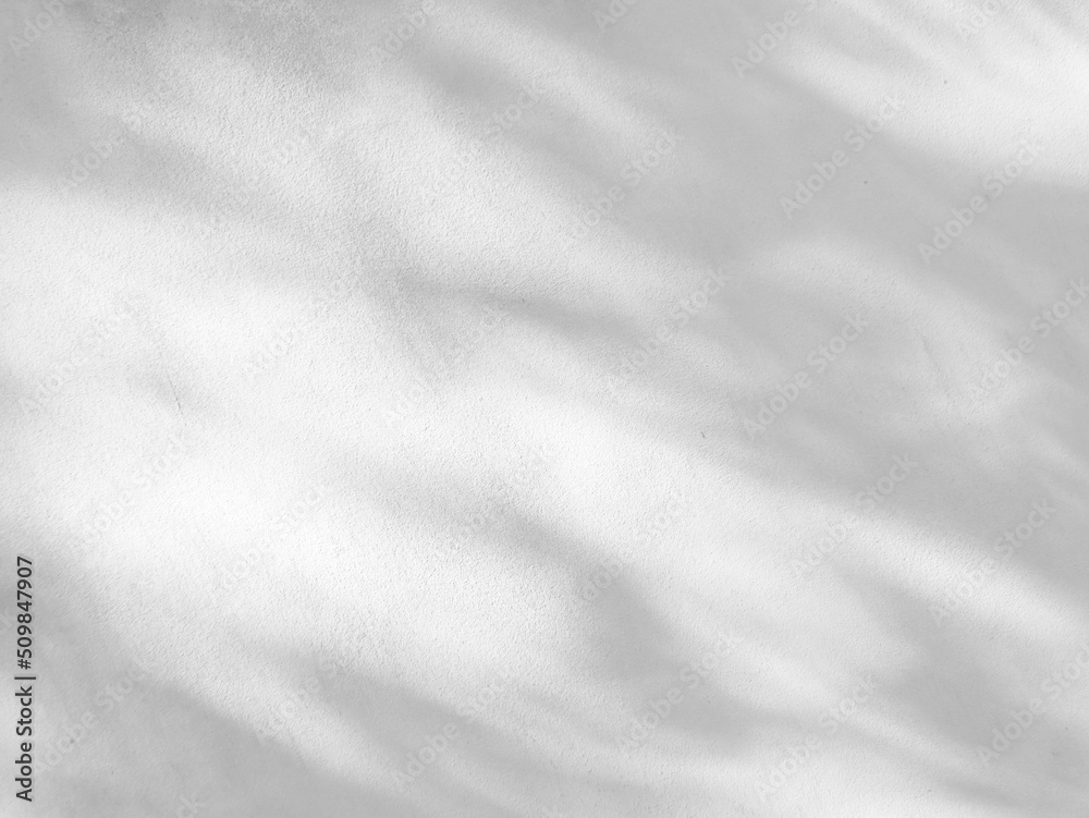 Seamless texture of white cement wall a rough surface and leaf shadow, with space for text, for a background