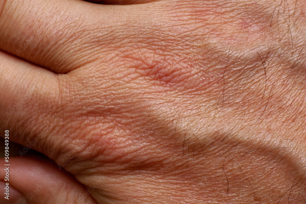 close-up of a man's hand detail close-up of a man's hand detail