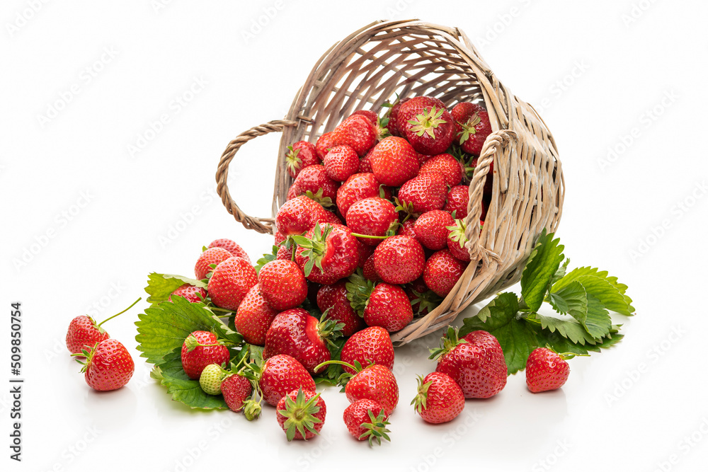 Strawberries in a wicker basket. Isolate on white background - obrazy, fototapety, plakaty 