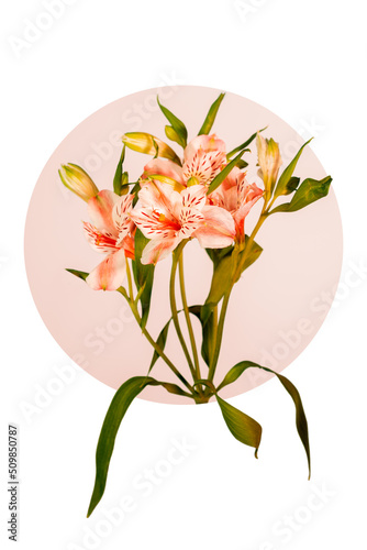 Fresh light orange lilies flower bouquet detail in a graphic round composition