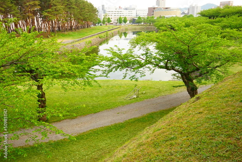 Hakodate Goryokaku fort surrounded by canal from Goryokaku Tower in Hokkaido, Japan - 日本 北海道 函館市 五稜郭 