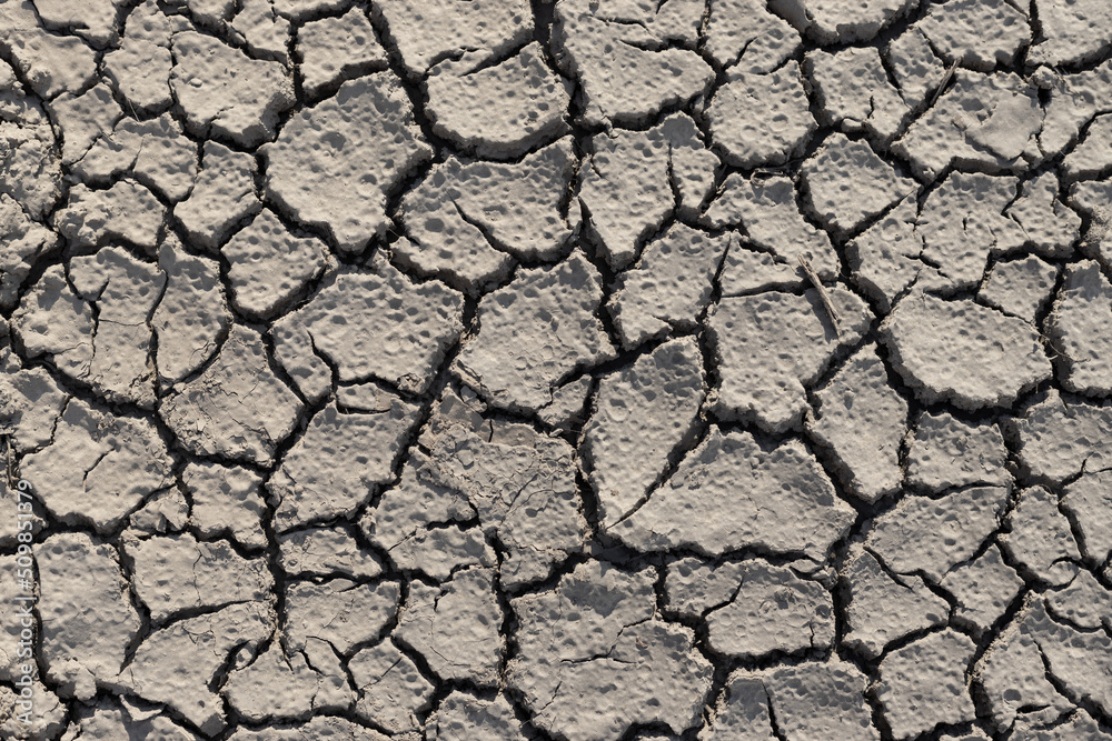 Textured dry grey ground. Cracked flakes of soil. Food crisis and drought on the planet. Ecological background. Top view Textured dry grey ground. Cracked flakes of soil. Food crisis and drought on the planet. Ecological background. Top view