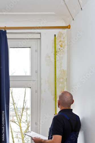 Man measuring the extent of a big patch of mold or mildew growing behind the drapes of a white external wall in an old house.