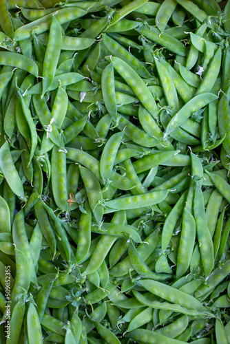 Petit pois en vrac