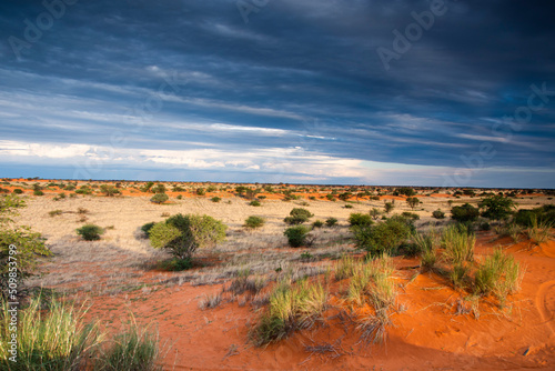 Beautiful landscape with vivid colours in Kalahari desert.