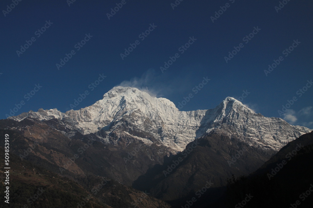 Himalayan life 