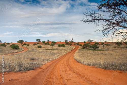 Beautiful landscape with vivid colours in Kalahari desert of Namibia.