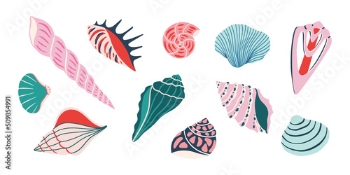 Fotografia Set of colorful sea shells. Vector flat illustration