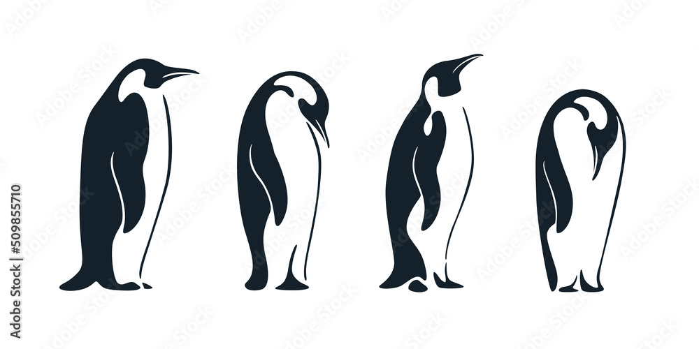 Fototapeta premium Silhouette of penguin. Cute animals illustration. Vector print for poster, postcard, pattern.
