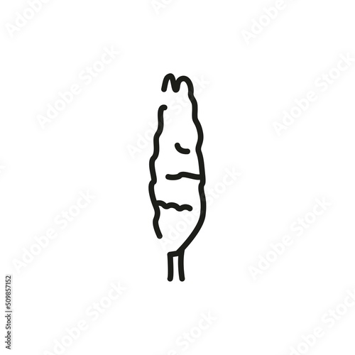 Poplar tree color line icon. Pictogram for web page