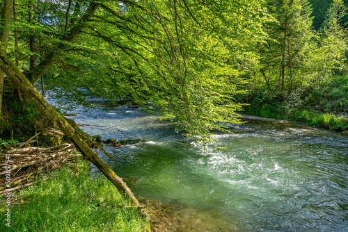 Wilde Mangfall in Oberbayern