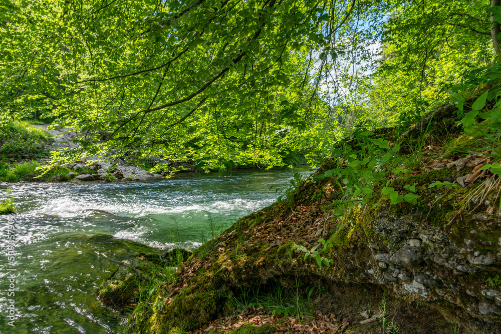 Dicht bewachsener Felshügel an der Mangfall Dicht bewachsener Felshügel an der Mangfall