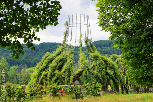 A church made of willow trees in a meadow near Pappenheim in Bavaria photo