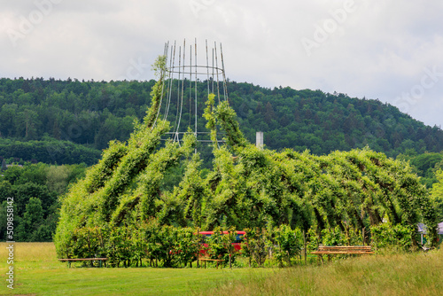 A church made of willow trees in a meadow near Pappenheim in Bavaria photo