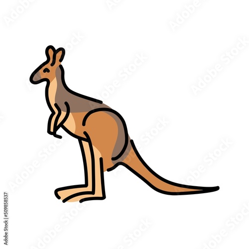 Kangaroos color line illustration. Animals of Australia
