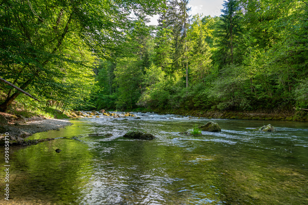 Naklejka premium Gemütlich fließt die Mangfall durch den Sommerwald