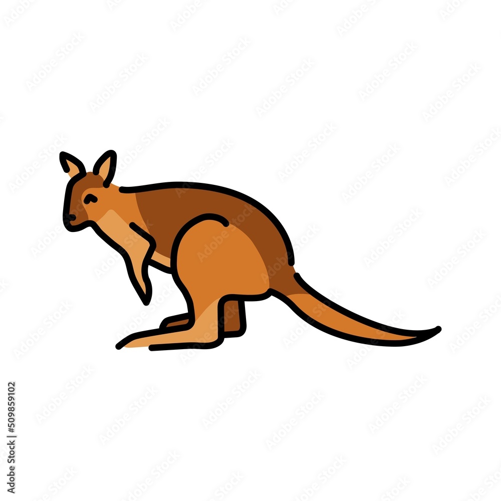 Wallabies color line illustration. Animals of Australia