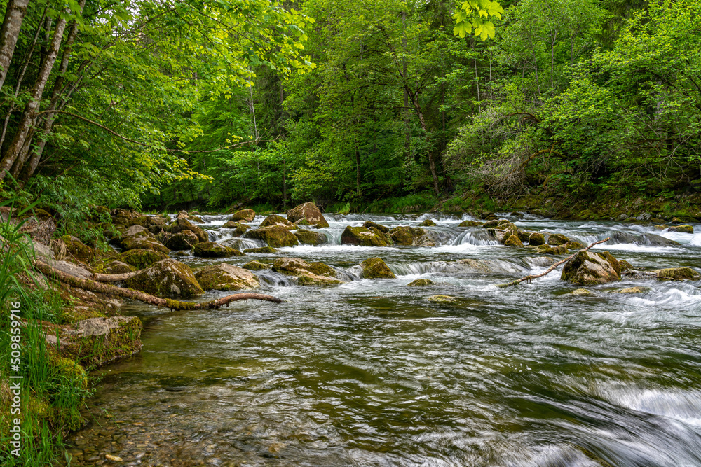 Felsen in einem Wildfluss im Wald Felsen in einem Wildfluss im Wald