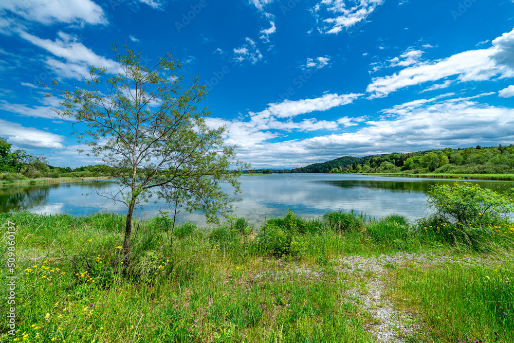 Ein herrlicher Sommertag am Seehamer See