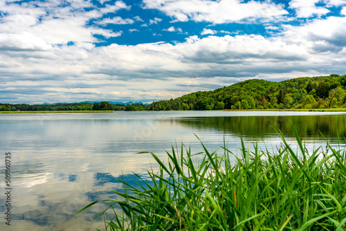 Fototapeta Naklejka Na Ścianę i Meble -  Bewaldetes Ufer am Seehamer See