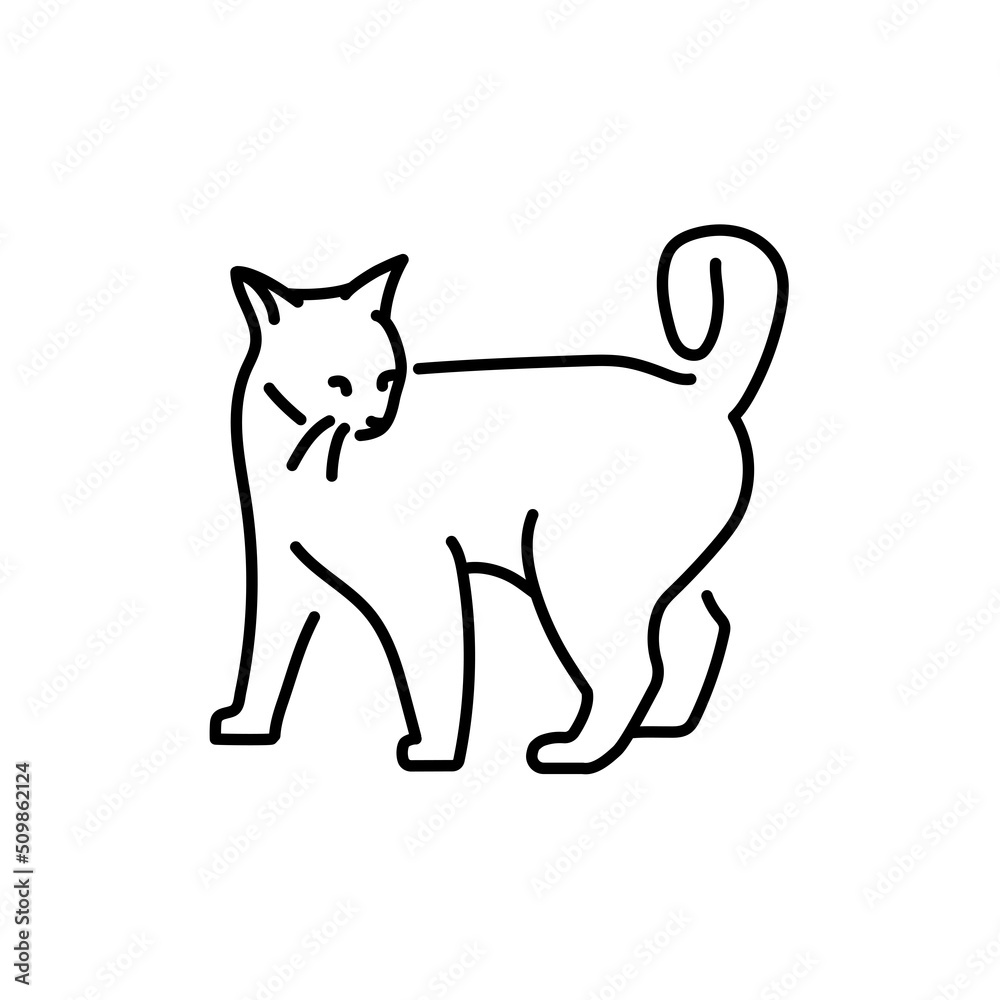 Playful cat standing color line icon. Pictogram for web page