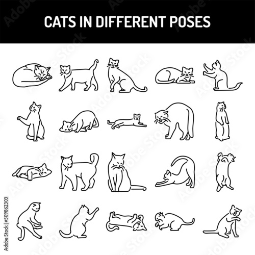 Different poses of cats line icons set. Isolated vector element.
