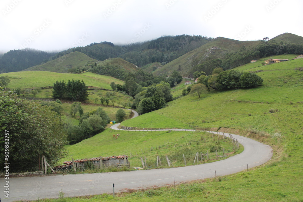 Paisaje con prados verdes, Asturias, España