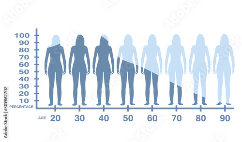 Woman estrogen level. vector illustration