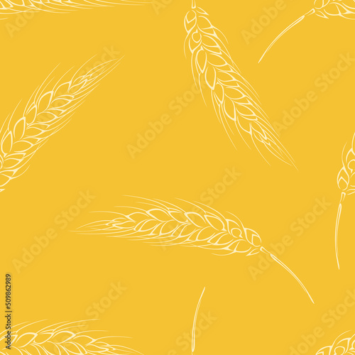 Ears of wheat on yellow background. Botanical seamless pattern. Vector outline illustration.