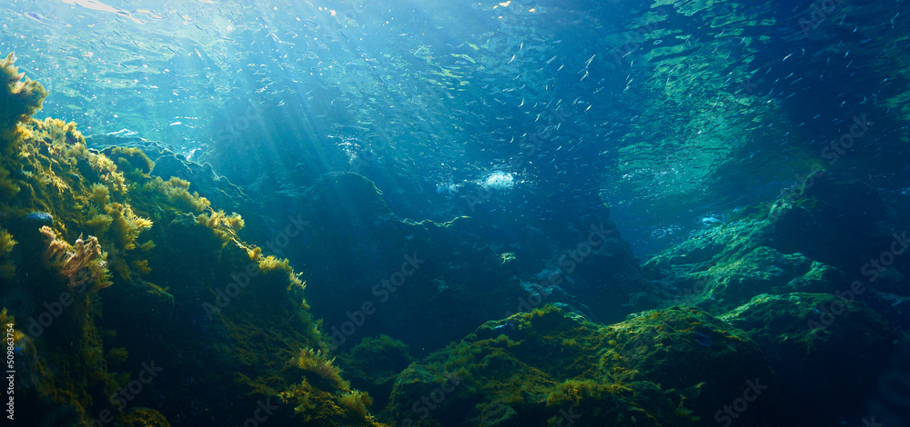 Obraz premium Underwater art of rays of light over the coral reef.