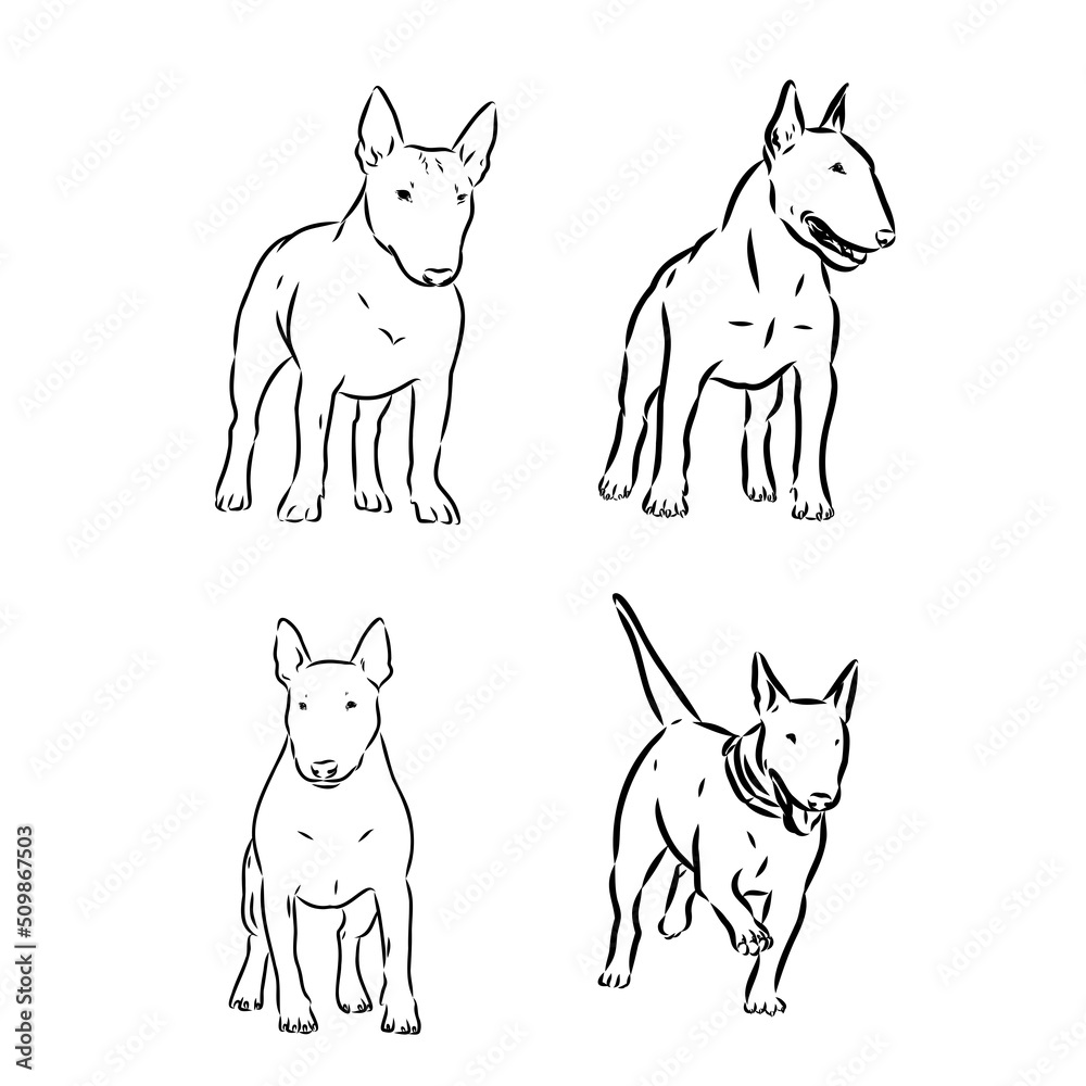Cute bull terrier dog sketch. Vector illustration in hand-drawn style. Image for printing on any surface