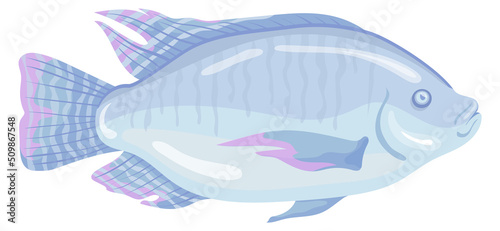 Tilapia fish with glossy scales. Cartoon underwater animal