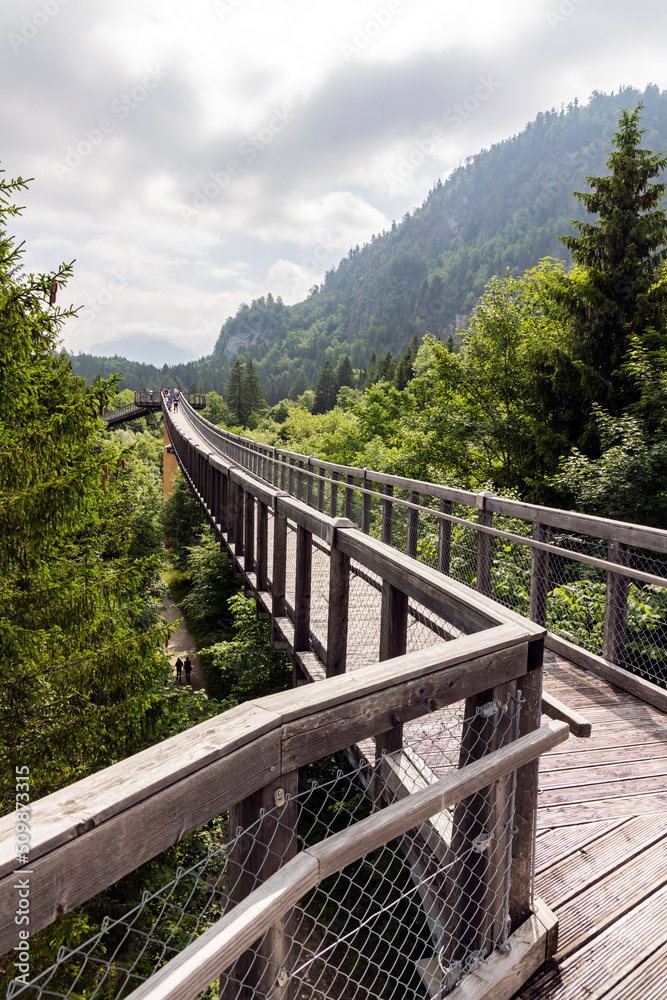 Baumkronenweg