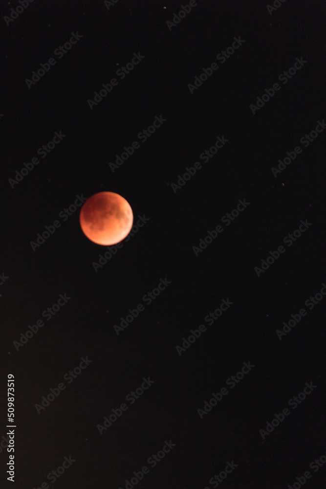 Blood Moon Blood Moon