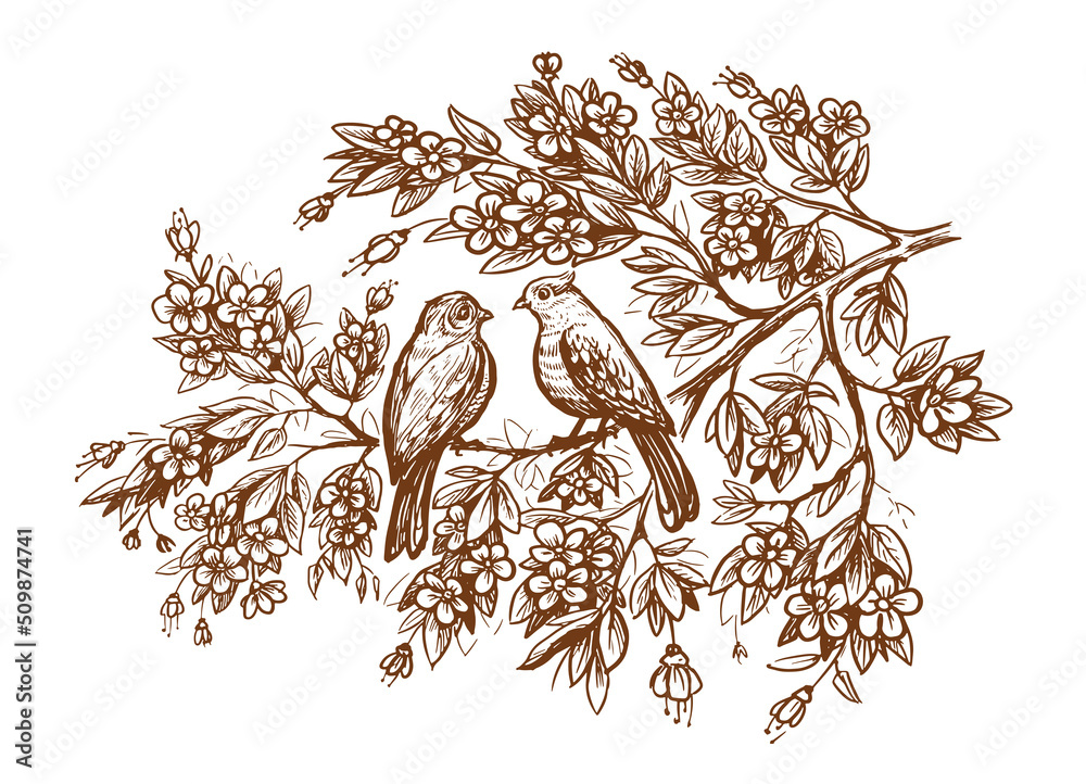 Set Of Of Birds And Flowers, Line Drawings, Ink Drawing, Hand Drawn  Illustration Royalty Free SVG, Cliparts, Vectors, and Stock Illustration.  Image 97386223.