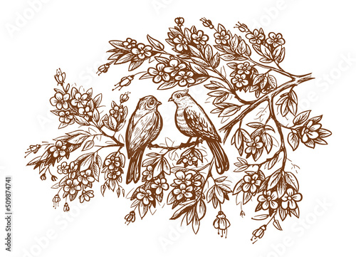 Cute birds on tree branch with flowers sketch. Love concept vector. Hand drawn drawing in vintage engraving style