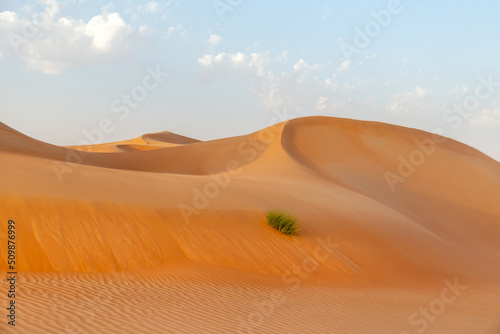 Natural landscape of the orange color sand dunes in the desert in Abu Dhabi