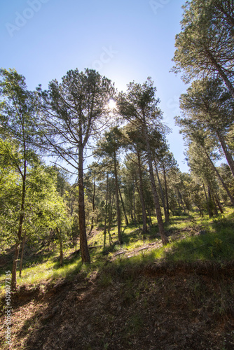 Trails with wonderful views of the Sierra De Cazorla  Spain. Nature tourism concept.