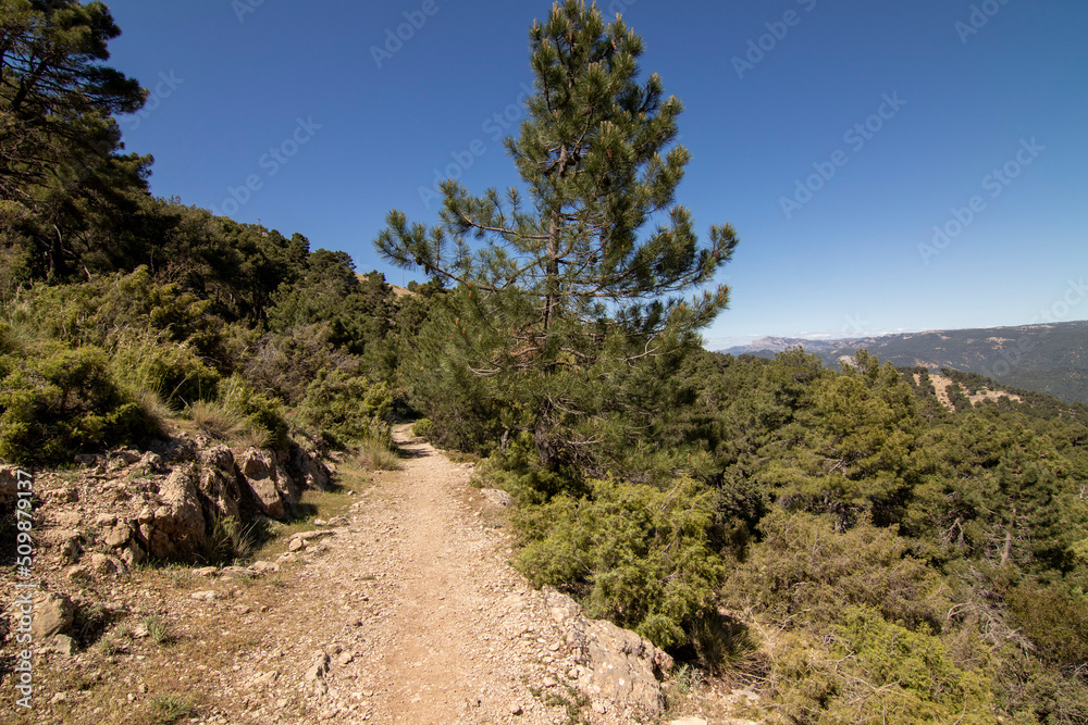 Trails with wonderful views of the Sierra De Cazorla, Spain. Nature tourism concept.