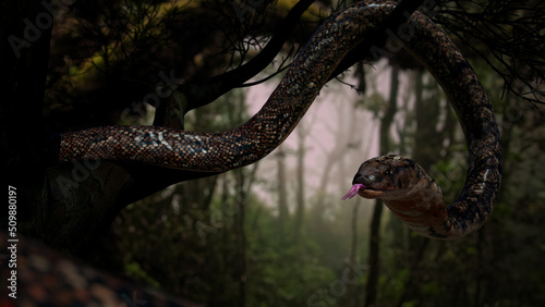 Fotografi Cobra on big tree with tongue in jungle