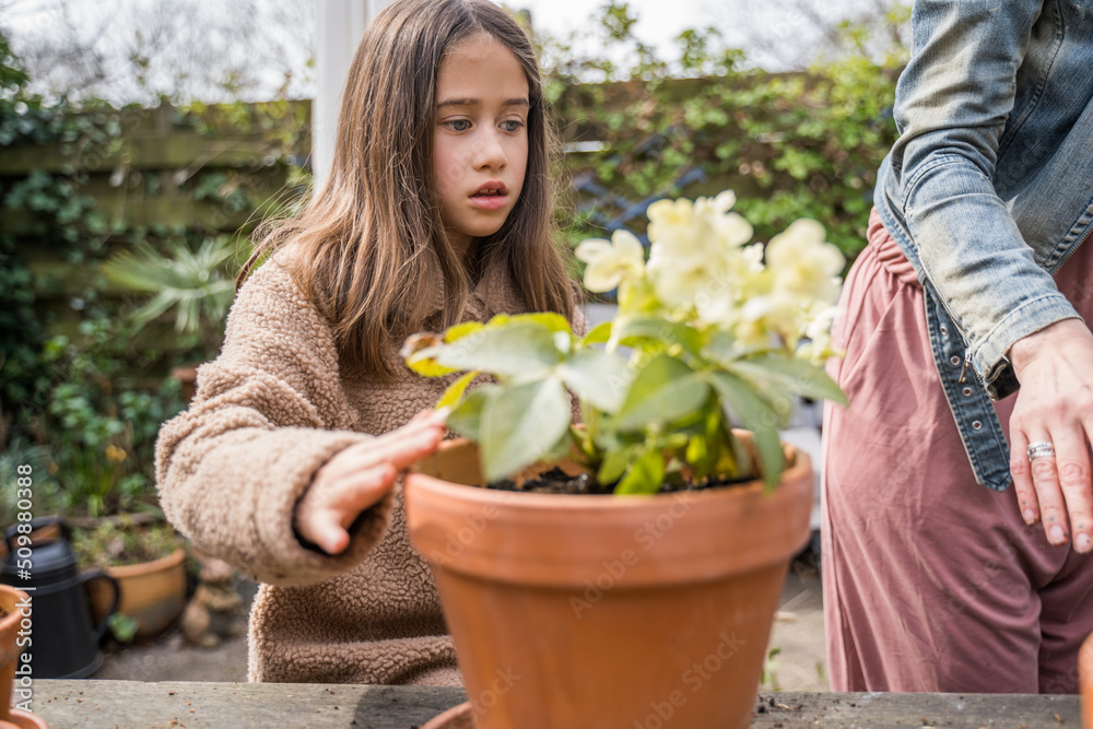 Obraz premium Girl standing at the garden and helping to her mother replacing flowers at the pots