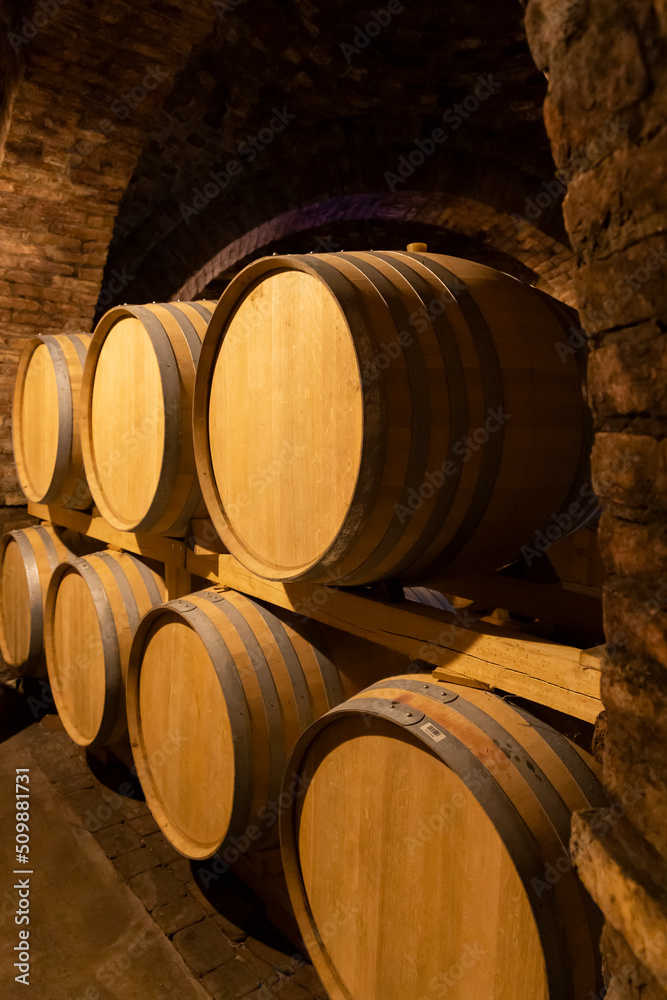 wine barrels in the cellar, Szekszard, Hungary
