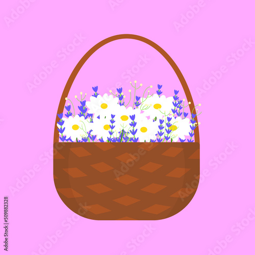 basket with flowers with daisies, lavender