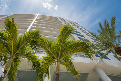 Beautiful tropical cityscape with modern architecture and palm trees view looking up. © Heidi