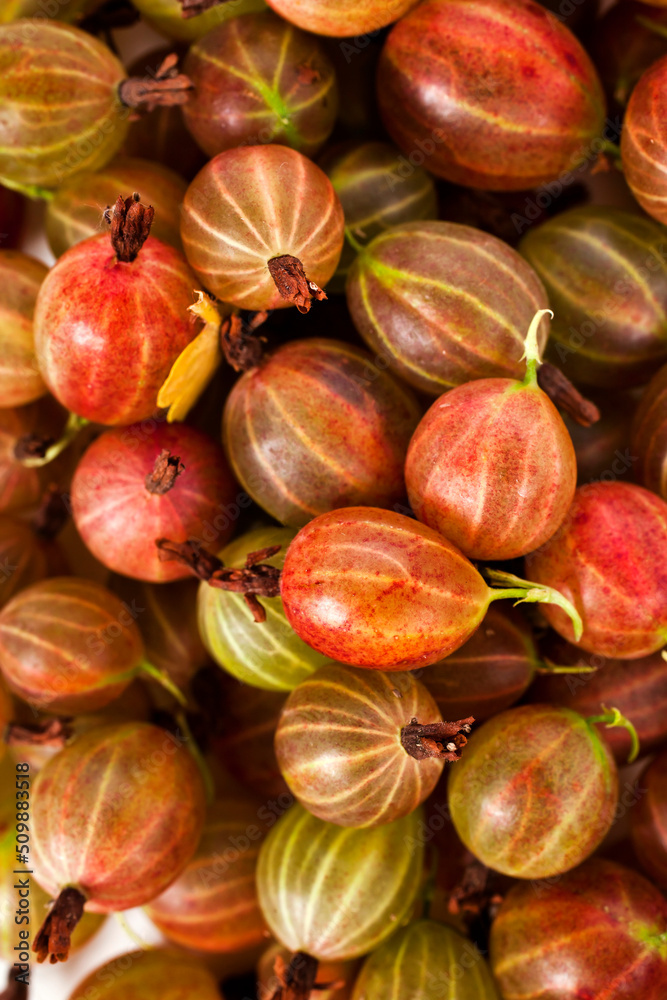 Fototapeta premium Background of colorful ripe red gooseberries. Top view.